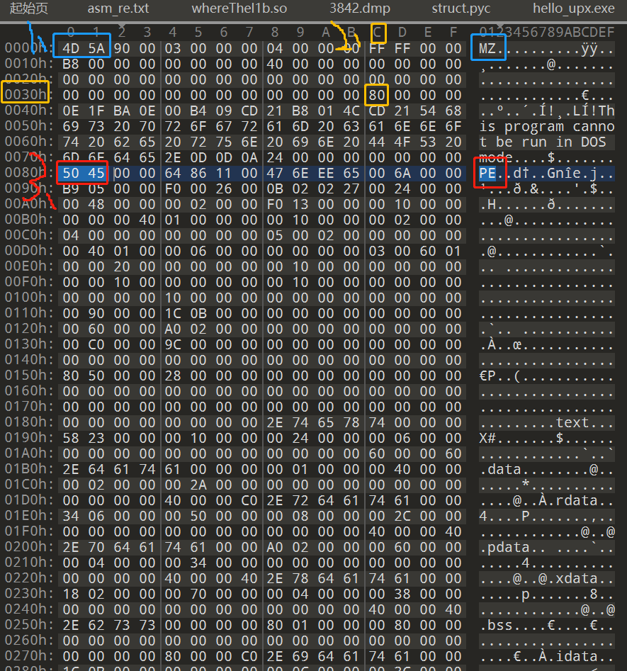 pe文件格式特征